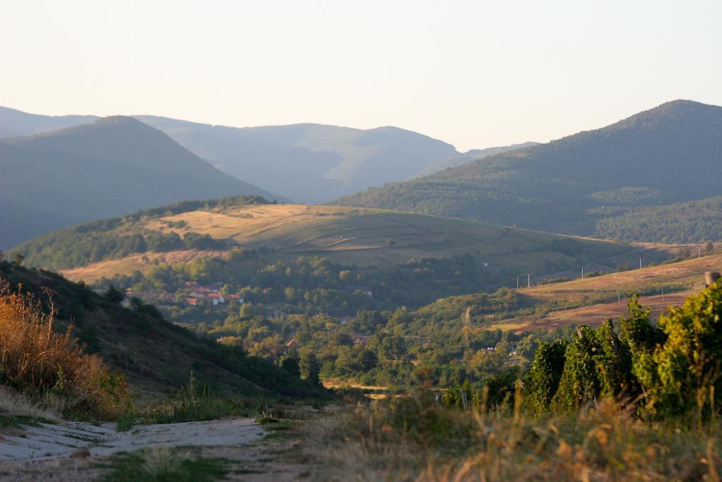 Cziroka Vendeghaz Appartement Tolcsva Buitenkant foto